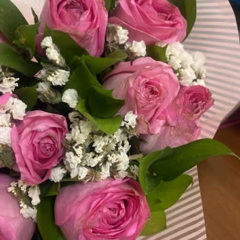 Siparişim Geç Teslim Edildi, Ürün Kusurlu Geldi Ve Müşteri Hizmetleri Yetersiz Kaldı