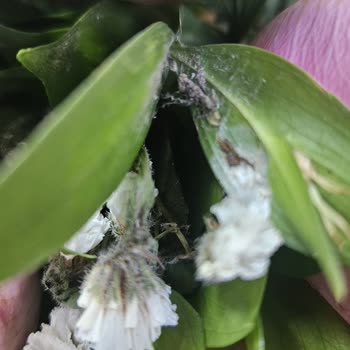 Siparişim Geç Teslim Edildi, Ürün Kusurlu Geldi Ve Müşteri Hizmetleri Yetersiz Kaldı