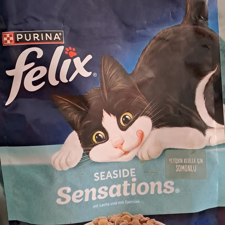 Purina Dry Cat Food Caused Chronic Vomiting in My Cat Until I Switched Brands