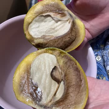 Bozuk Meyveye İade Reddi Ve Müşteri İletişiminde Hayal Kırıklığı