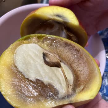 Bozuk Meyveye İade Reddi Ve Müşteri İletişiminde Hayal Kırıklığı