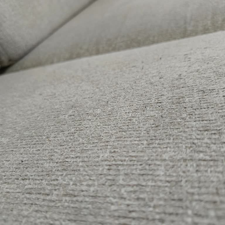 Yedi Ayda Tiftiklenen Koltuk Ve Çözülmeyen Servis Sorunu