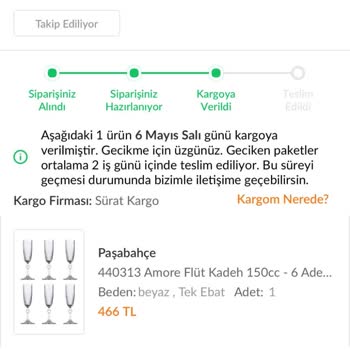 Siparişim Günlerdir Transferde Kırık Ürün Mağduriyeti Yaşadım