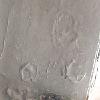 HDI Sigorta Hasar Sürecinde Gecikme Ve Yetersiz Destek