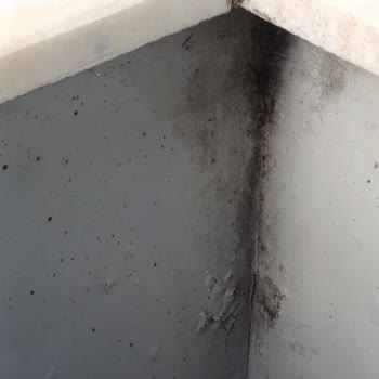 HDI Sigorta Hasar Sürecinde Gecikme Ve Yetersiz Destek