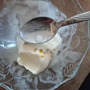 Dondurmadan Çıkan Plastik Parça Sağlığımı Tehdit Etti
