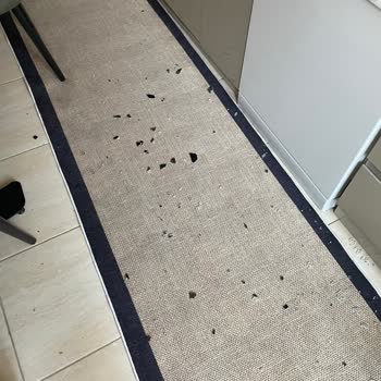 Beko Yeni Alınan Fırının Camı Patladı, Mağdur Edildim