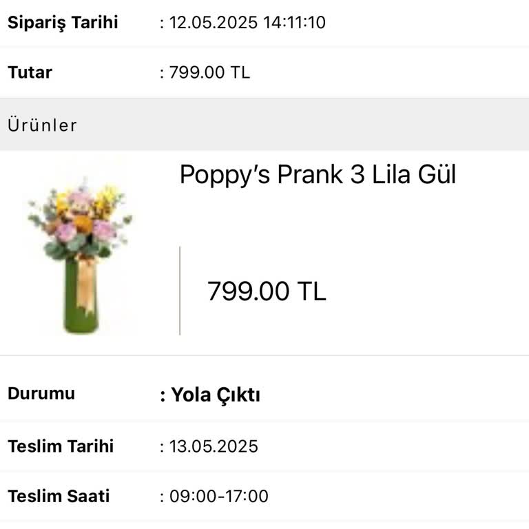 Canlı Çiçek Siparişim Zamanında Teslim Edilmedi