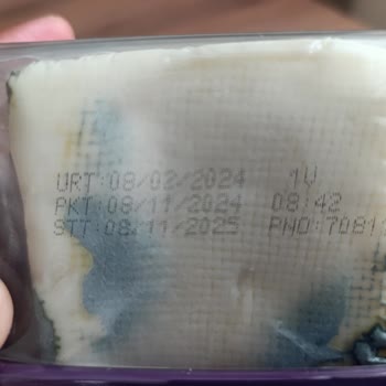 Son Kullanma Tarihi Geçmemiş Peynirde Küflenme Sorunu