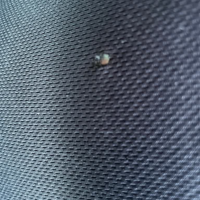 Marlboro Edge Blue Sigara Kalitesizliği Ve Güvenlik Sorunu