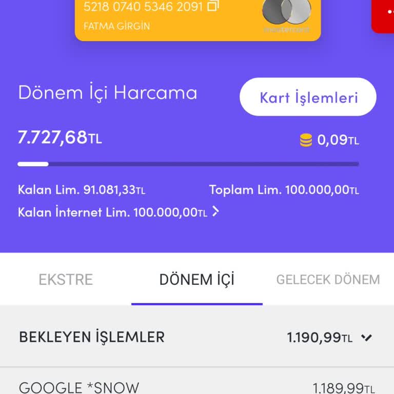 Google Snow Şikayeti
