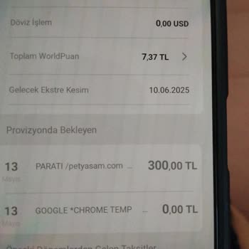 Ödeme Yapıldığı Halde İlan Hakkı Tanımlanmadı