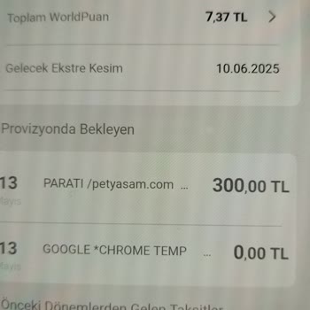 Ödeme Yapıldığı Halde İlan Hakkı Tanımlanmadı