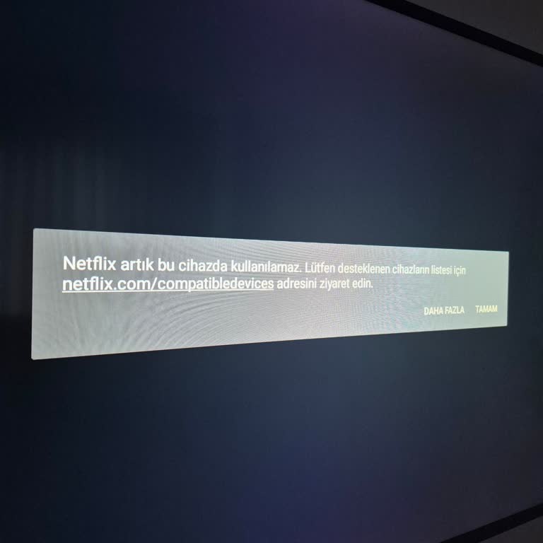 Onvo TV'de Netflix Desteği Aniden Kaldırıldı, Mağduriyet Yaşıyorum