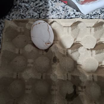 Getir Siparişimde Küflü Sucuk Ve Kırık Yumurta Sorunu