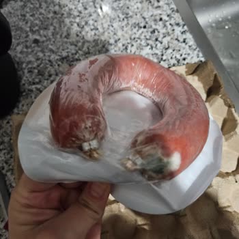 Getir Siparişimde Küflü Sucuk Ve Kırık Yumurta Sorunu