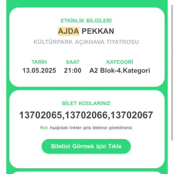 Satın Aldığım Koltukta Görüş Engellendi, Sorunuma Çözüm Sunulmadı
