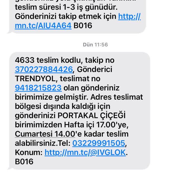 MNG Kargo Teslimat Bölgesi Sorunu Ve Ürün İadesi Endişesi