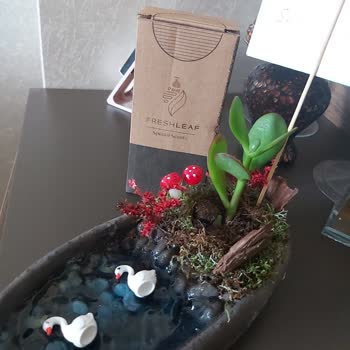 Yanlış Çiçek Gönderimi Nedeniyle Mahcubiyet Yaşadım, Telafi Talep Ediyorum