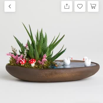 Yanlış Çiçek Gönderimi Nedeniyle Mahcubiyet Yaşadım, Telafi Talep Ediyorum