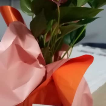 Çiçek Siparişimde Teslimat Ve Ürün Sorunları Yaşadım