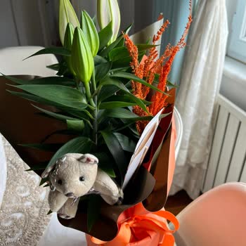 Görseldeki Çiçek Yerine Tomurcuklu Ve Özensiz Ürün Gönderildi, Müşteri Hizmetlerine Ulaşılamıyor