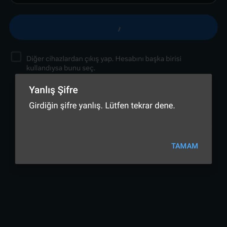 Instagram Hesabımda Şifre Sorunu Ve Giriş Engeli Yaşıyorum