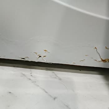 Siemens Beyaz Eşyalarında Kısa Sürede Yaşanan Sorunlar Ve Servis İlgisizliği