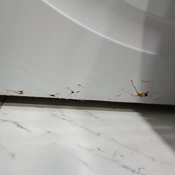 Siemens Beyaz Eşyalarında Kısa Sürede Yaşanan Sorunlar Ve Servis İlgisizliği