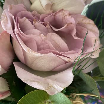 Anneler Günü Siparişim Eksik Ve Solmuş Çiçeklerle Teslim Edildi