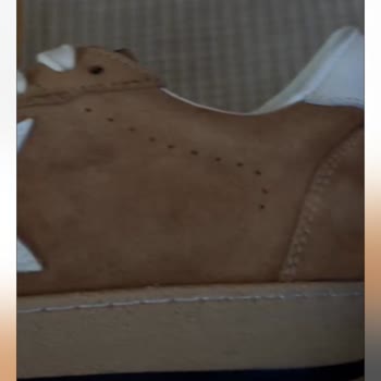 Sipariş Verdiğim Ayakkabı Sahte Ve Geç Teslim Edildi