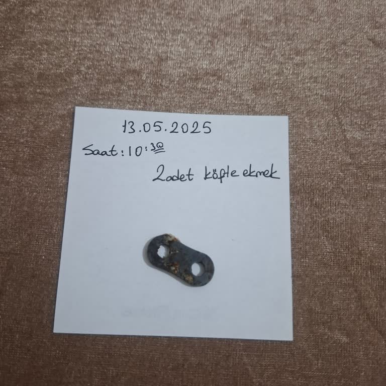 Köfte Ekmeğin İçinden Yabancı Madde Çıkması Hakkında Şikayet