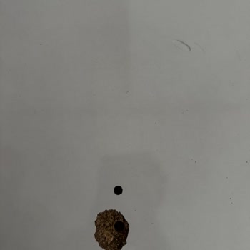 Defolu Ve Uyumsuz Ürün, İade Talebine Dönüş Yapılmıyor