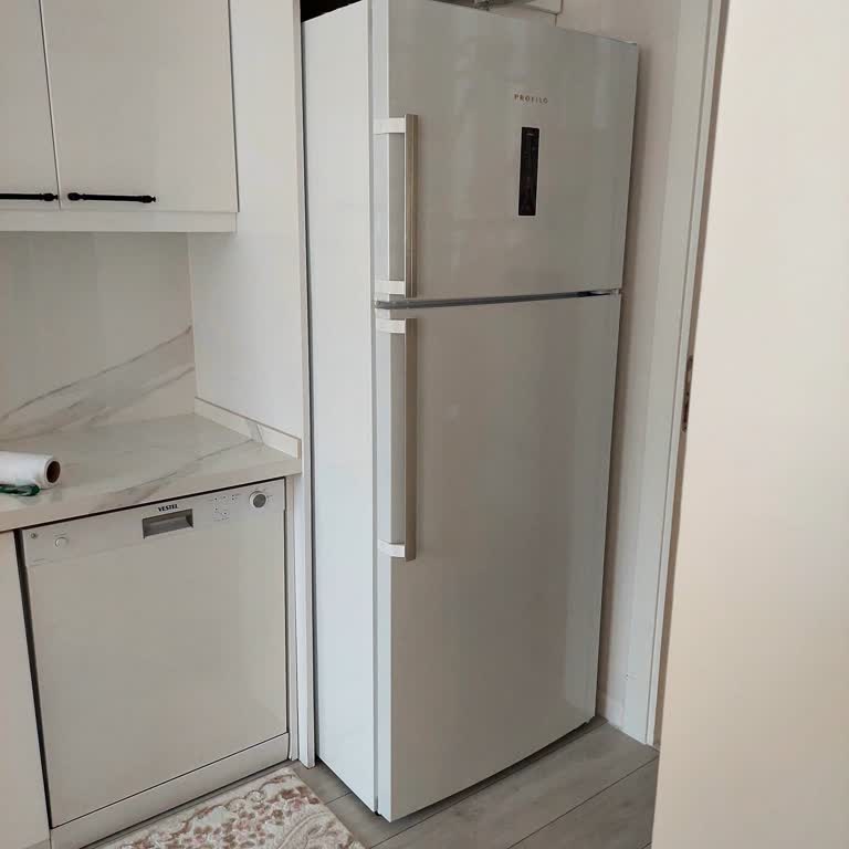 Profilo Buzdolabında Sürekli Gürültü Ve Değişim Sorunu
