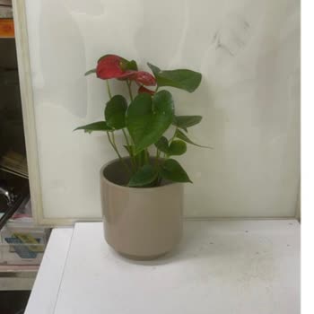 Siparişim Yanlış Gönderildi, Müşteri Hizmetleri Sorunumu Çözmedi