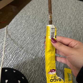 Satın Aldığım Kedi Mamasının Tamamı Küflü Çıktı