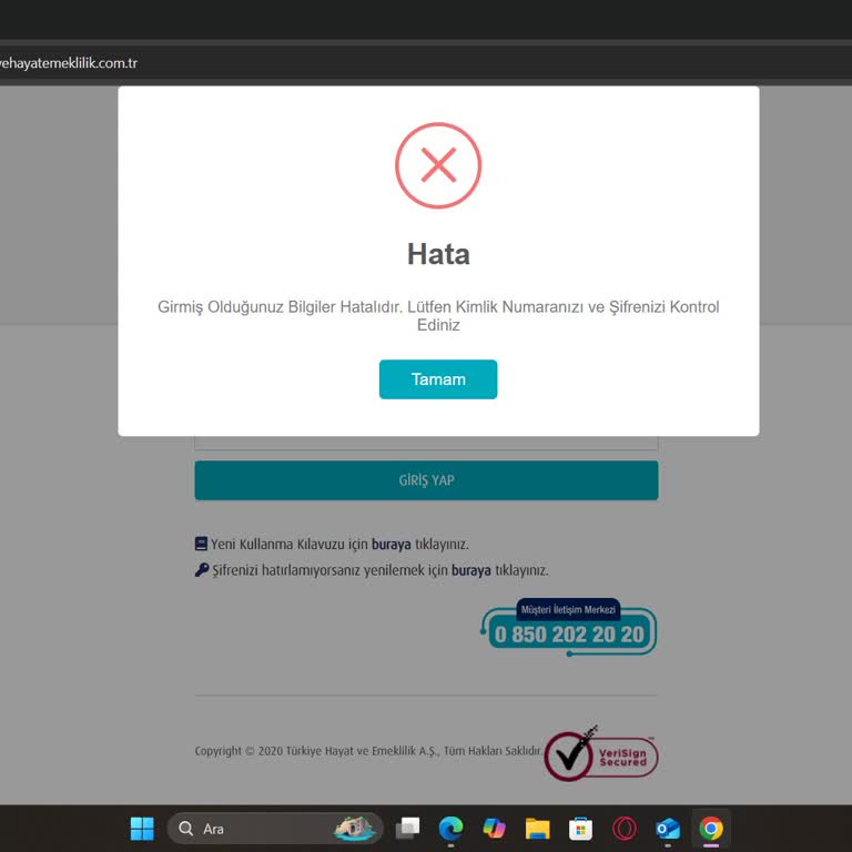 Türkiye Hayat Emeklilik BES Sitesine Giriş Yapılamıyor, Sorun Sürekli Tekrarlanıyor