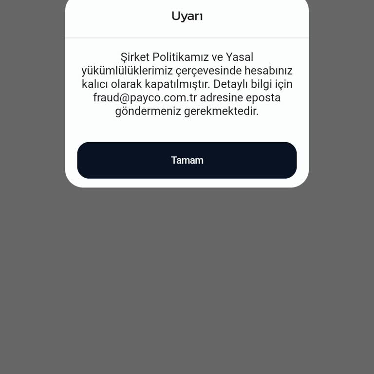 Payco Hesabıma Erişim Kısıtlandı Destek Alamıyorum