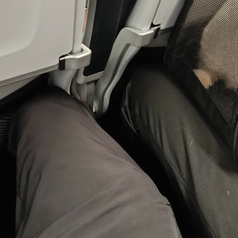 Uçakta Kedi Alerjisi Nedeniyle Yaşanan Sağlık Sorunu Ve Yetersiz Bilgilendirme