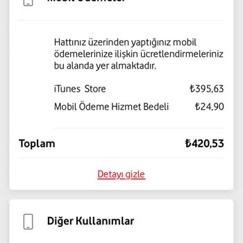 Bilgim Dışında İtunes Abonelik Ücreti Faturama Yansıtıldı