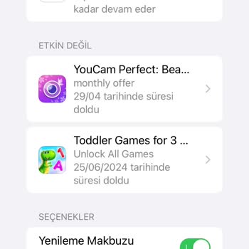 Bilgim Dışında İtunes Abonelik Ücreti Faturama Yansıtıldı