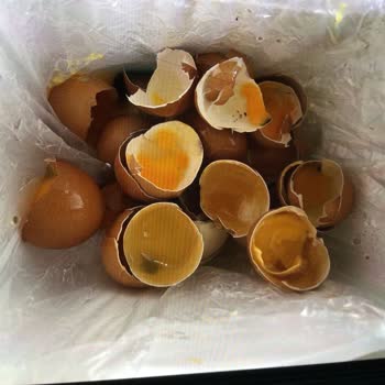 Aldığım Yumurtaların Tamamı Bozuk Çıktı