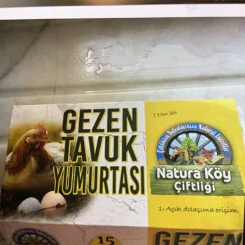 Aldığım Yumurtaların Tamamı Bozuk Çıktı