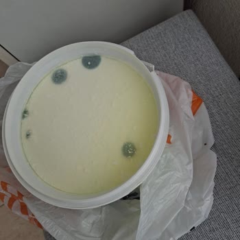 Migros Sanal Marketten Küflü Yoğurt Ve İlgisiz Hizmet