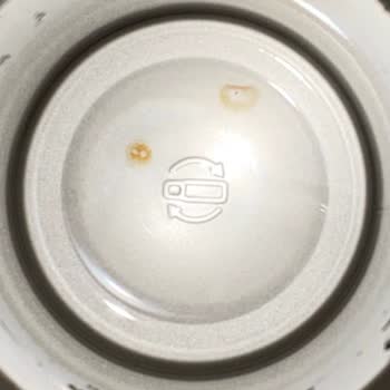 My Stanley Quencher H2.0 Developed Rust Despite Proper Use and I Got No Support