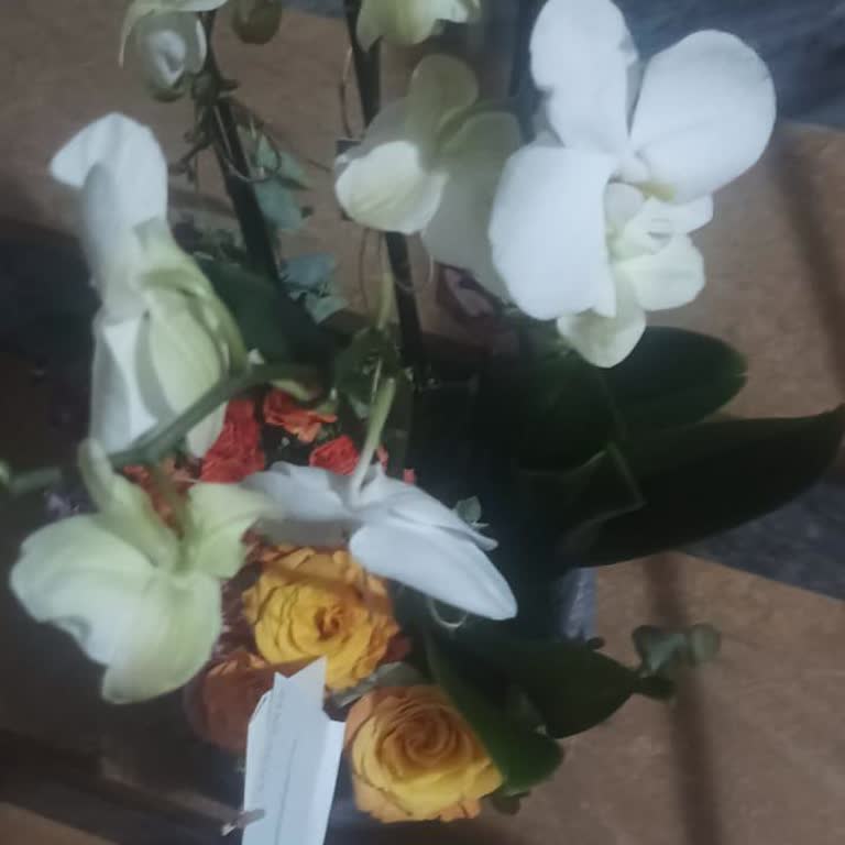 Kalite Çiçek Siparişim Geç ve Hasarlı Teslim Edildi, Ücret İadesi Talebim Var