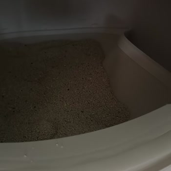 Xenon Akıllı Kedi Tuvaleti Ped Sorunu Ve Yetersiz Müşteri Desteği