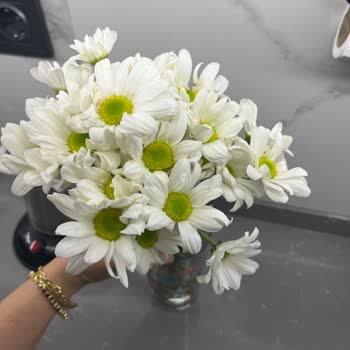 Gönderilen Papatya Sayısı Eksik Çıktı, Mağduriyet Yaşadık