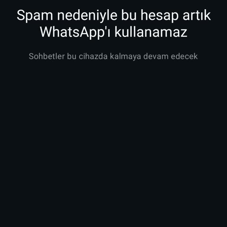 WhatsApp Kendiliğinden Kapandı Ve Açılmıyor, İşlerim Aksadı