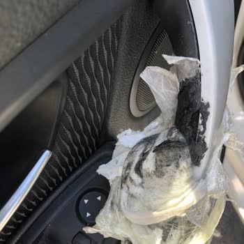 BMW 320d Kapı Kollarının Erimesi Ve Ücretsiz Değişim Talebi